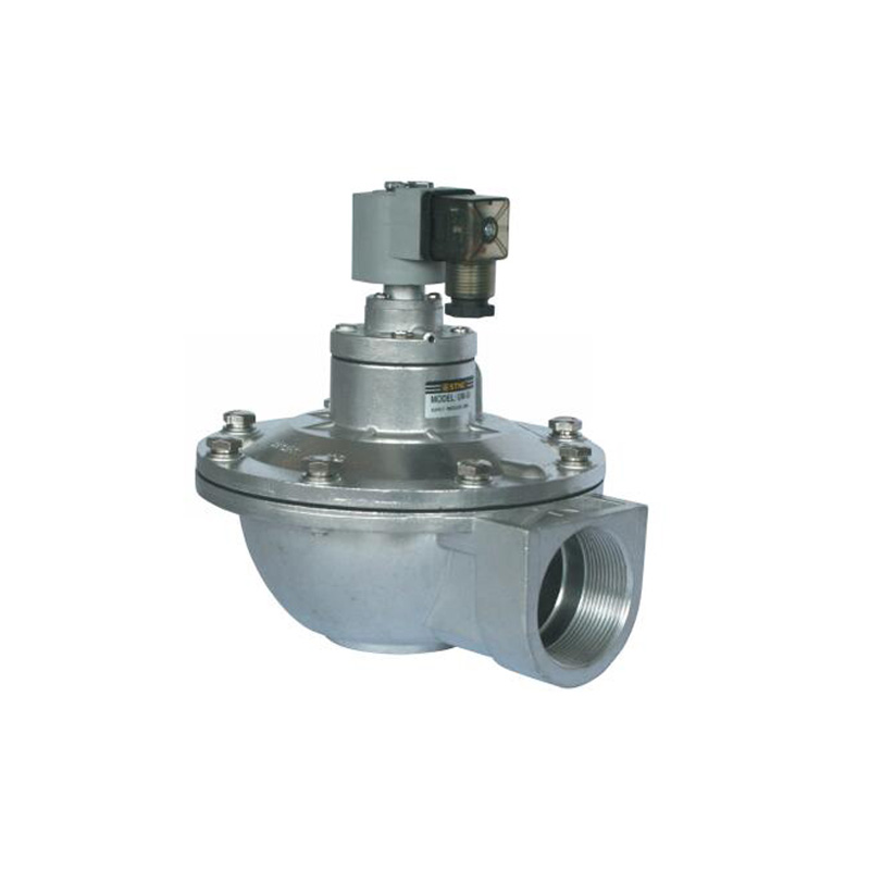 UM series pulse valve