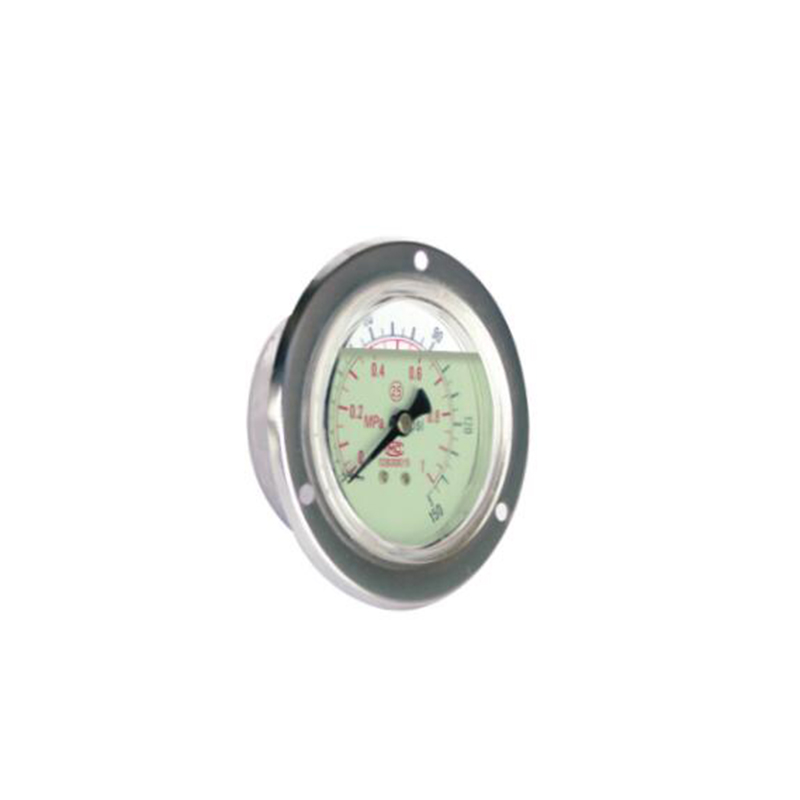 YK100 pressure gauge