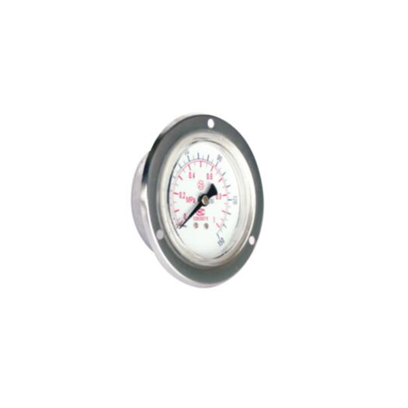 YBF100pressure gauge